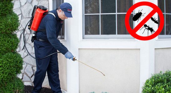 Çardak Karınca İlaçlama böcek ilaçlama ve haşere kontrolü — ilaclama-tr.com